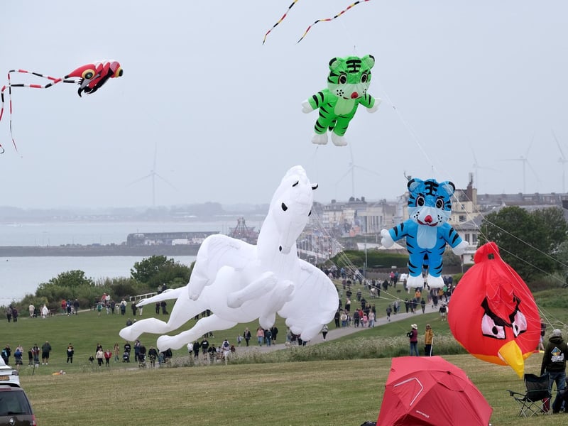 A menagerie of weird and wonderful animals take to the skies.