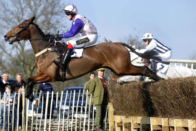 Charm Park action. Picture Richard Ponter 141058e