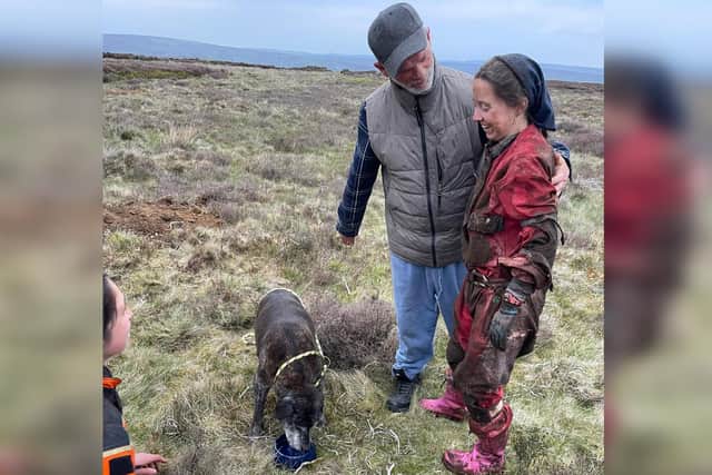 A relieved dog having a well-deserved drink after being reunited with their owner.