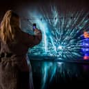 A visitor to Peasholm Park is pictured taking a photograph of the illuminated artworks as part of the Scarborough Lights festival. The festival runs from today (Wednesday, November 15) until Saturday, December 23, and it is the first event as part of the three-year Scarborough Fair cultural initiative.