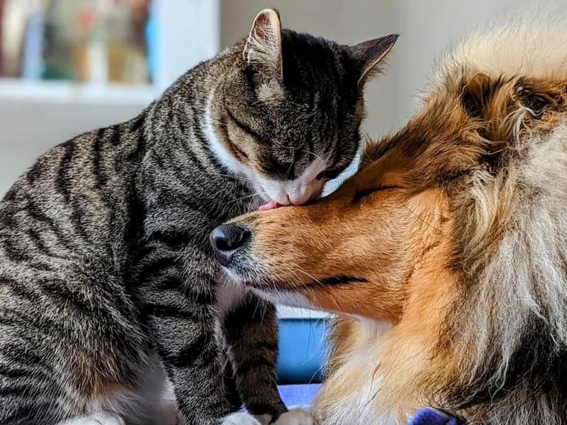 Ben Roe's photo of Sidney and Cassie.