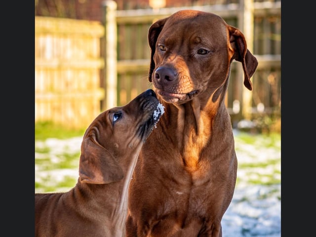 Lana and Eva enjoying the snow.
