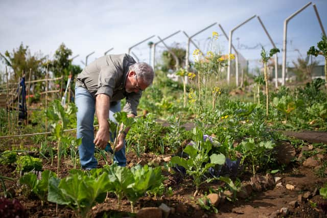 The Growing Green and Blue Health programme is transforming lives.