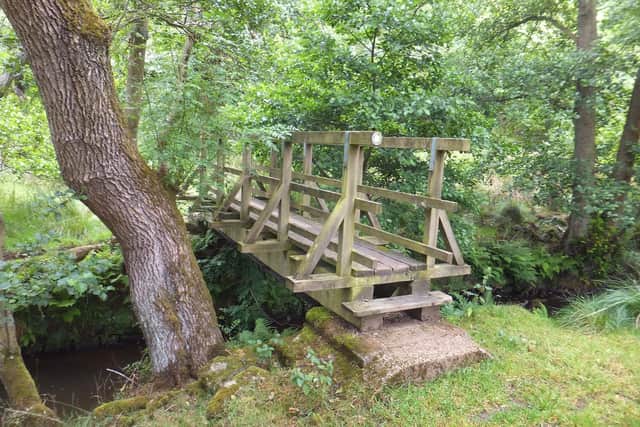 Footbridge at Commondale.