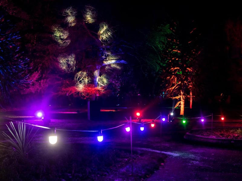 The lights show can dazzle from a distance, as well as having up close colourful displays.