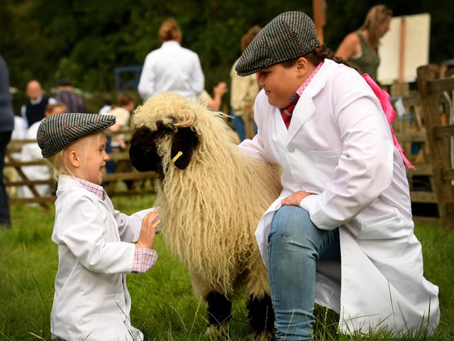 Jorja Coates, five, (left) and Missy Coates, nine, from Robin Hood's Bay, pictured with their Valais blacknose sheep called Legacy