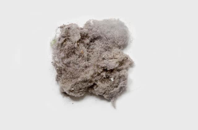 Dustballs are made up of hair, carpet fibres, human skin cells, spider cobwebs and microscopic debris.