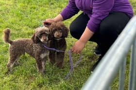 Shelina Duke hopes this advice will help Scarborough dog owners - Animal News Agency