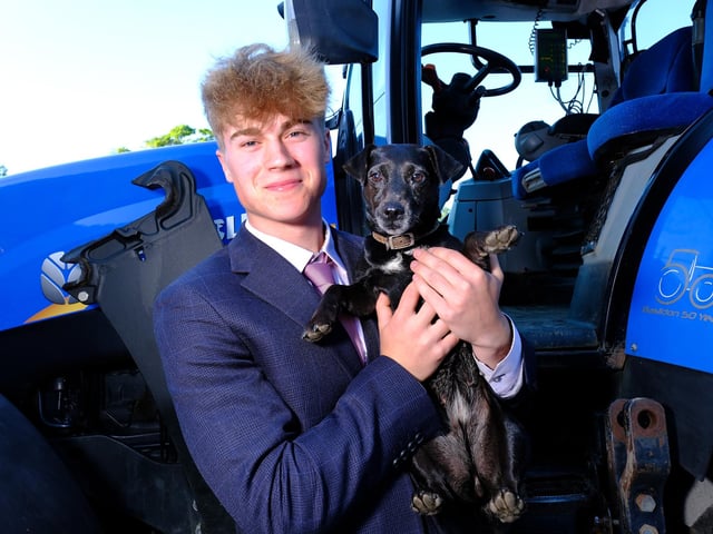 A four-legged friend joins in the fun.picture: Richard Ponter