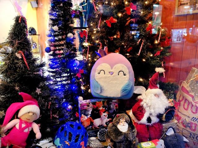 Caring 4 Critters window.