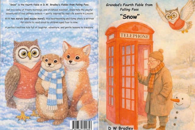 Front and back covers of DW Bradley's book Snow.