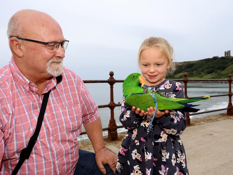 Morris Nisbet introduces Barry Basil the Parrot to Aleyna Elwood.