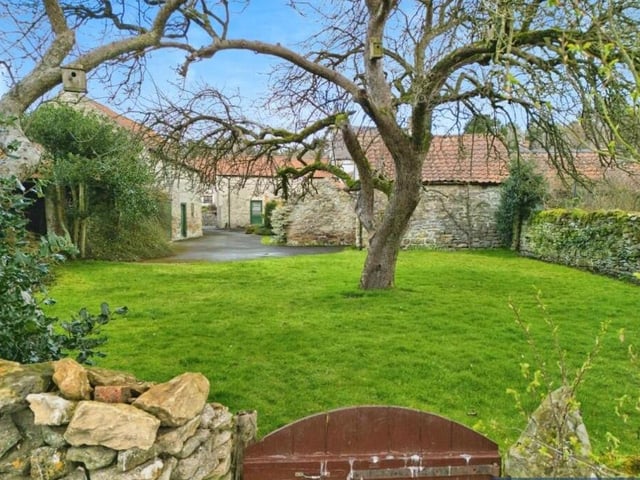 A delightful walled garden with central tree.