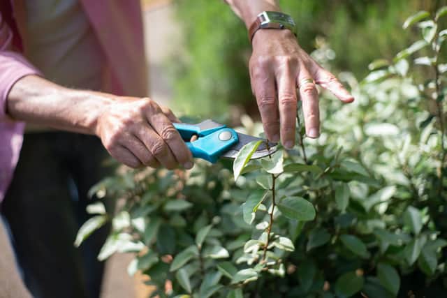 Residents across North Yorkshire can now pay for their garden waste licence ahead of this year’s collections starting in March.