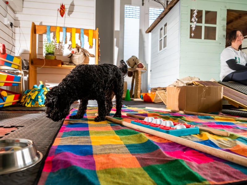 Snuffl is not recommened for more than once a month, and loyalty cards are on offer. Laura asks that dogs be fed and have been to the toilet before entering the indoor room so they can make the most of the smells and senses, without a distraction.
