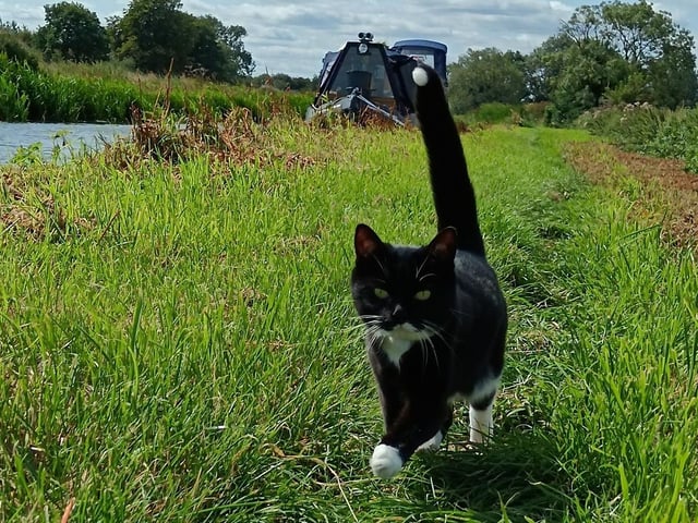 Tilly, who is nearly ten and lives on a narrowboat.