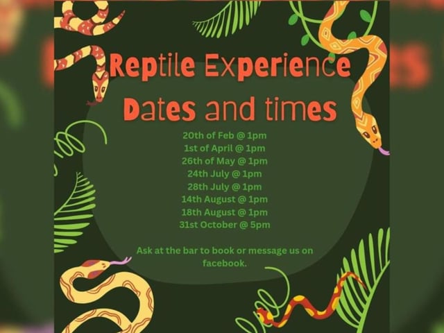 Reptile Experience with Lilly's Reptile and Rescue at the The Scarborough Flyer on October 31. Only £2pp with all money raised going back to Dave and Lilly the red tailed boa & reptile rescue centre. Come and meet his reptiles and find out about the amazing work he does and even have a photo with them.