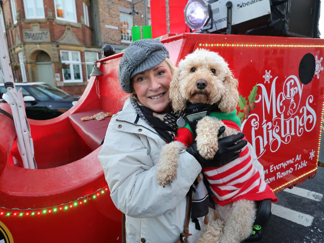 A four-legged-friend ready for Christmas!
