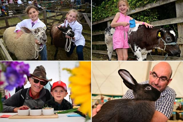 Thornton-le-Dale show fun. photo: Richard Ponter