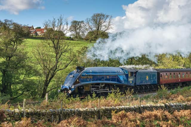 Sir Nigel Gresley steaming along. picture: John Potter