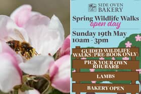 The Spring Wildlife Walk will take place at Side Oven Bakery on May 19.
