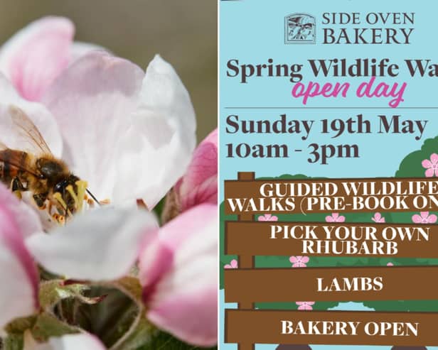 The Spring Wildlife Walk will take place at Side Oven Bakery on May 19.