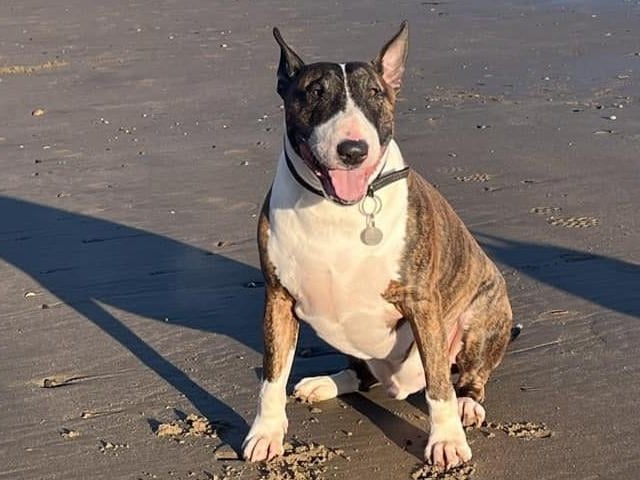 Alan on the beach in his favourite place.