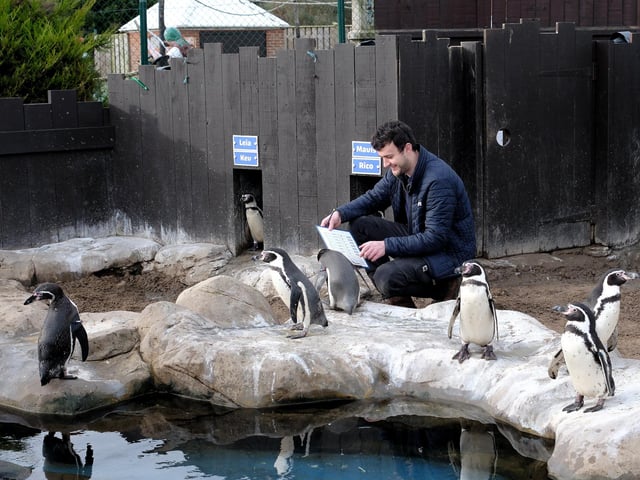 Jordan Woodhead checking the Penguins