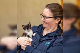 A staggering 7,768 animals were rehomed by RSPCA teams in this area. Photo: RSPCA