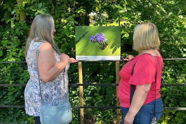 The photography competition has attracted over 100 entries, and now 12 stunning images have been selected as finalists.