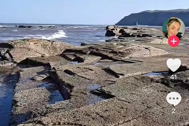 Discover Saltwick Bay and its "amazing dinosaur beach" near Whitby.