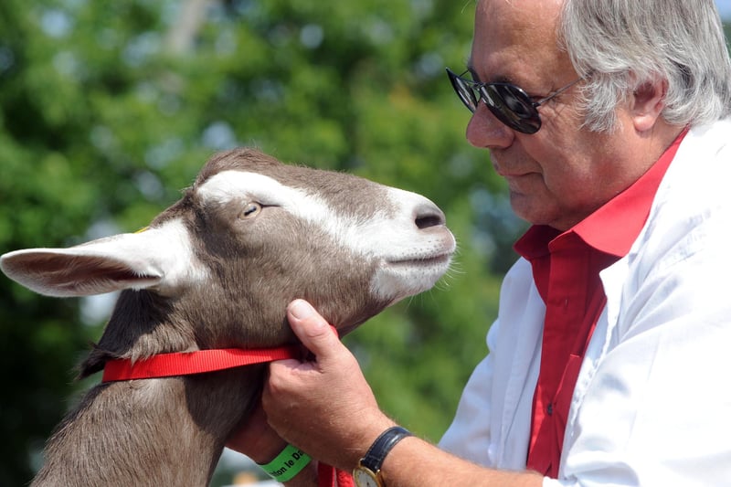 Thornton Le Dale Show. in 2011; Paul Phillips of Long Marston with Moon Honey, his British Toggenburg goat.