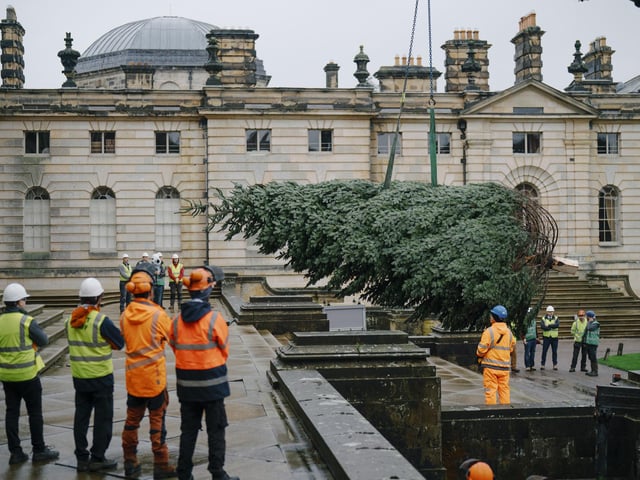 A team watches on during the winching of the tree.