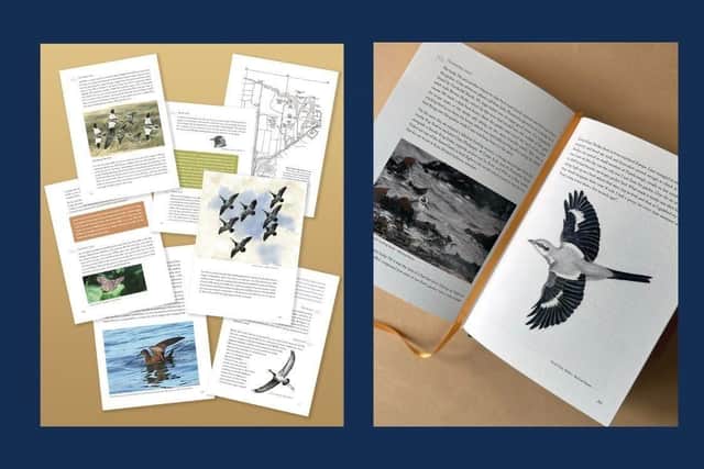 5% of all proceeds from the publication will be donated to the North Yorkshire Turtle Dove Project