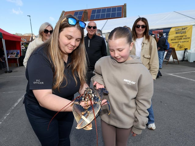 Meeting a lobster! photo: Richard Ponter
