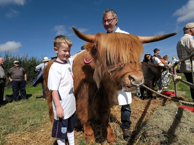 Ralphie enjoys meeting the show animals as Neil prepares for the show.