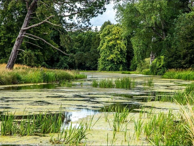 Scampston Lake