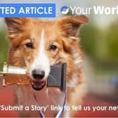 Use the 'Submit a story' link to tell us your news