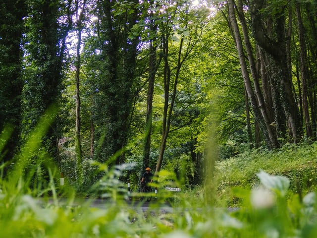 Be at one with nature with a spot of Forest bathing. Turn off your hi-tech devices and enjoy a forest-based experience which doesn’t cost the earth. Naturally boost your health and well-being, by getting outdoors. Relax and slow down to enjoy a spot of quiet amongst the trees. Simply take your time, breathe deeply and take in your surroundings under the forest canopy. Use all of your senses to look at nature’s small details, just two hours can provide you with the ideal forest bathing experience. Wander around the woods on a circular walk around Broxa which will take you into the heart of Langdale Forest which has a mix of conifers and semi-natural woodland. As this is a totally free activity so you can afford to book yourself in for lunch at The Grainary in Harwood Dale.