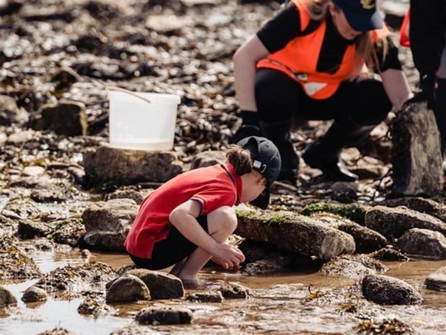 A special Seashore Safari is set to be held at Flamborough's South Landing beach, near Bridlington. Taking place on June 18, visitors will join experts on a guided tour in search of local marine life.