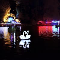 Free lantern display comes to Scarborough’s Peasholm Park after Moonlight on the Lake cancellation
