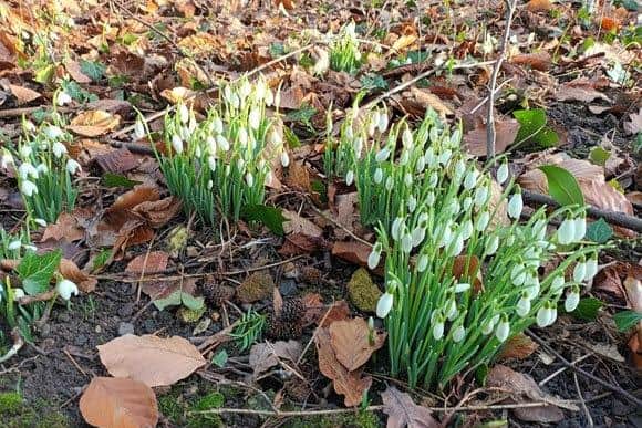 Sewerby Hall and gardens is already in bloom with loads of fun activities to keep the kids occupied this half term.