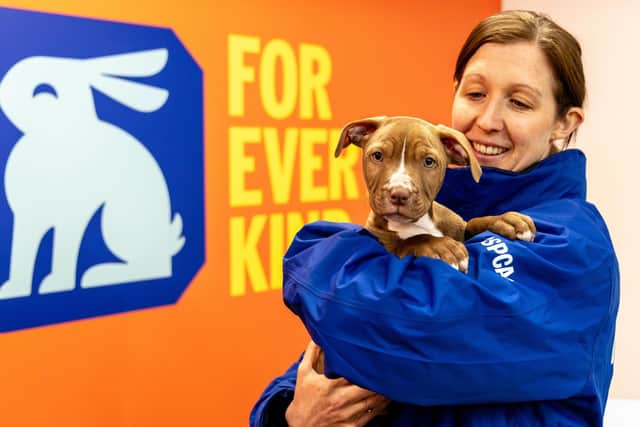 Almost £1.2 million went on kennelling hundreds of dogs in the first quater of this year, because there wasn’t any space left in any of the RSPCA’s own dedicated centres and branches.