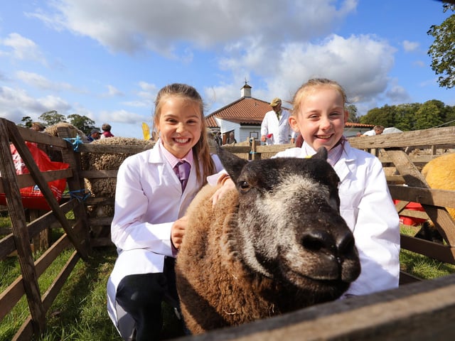 Olivia and Hollie with their sheep.