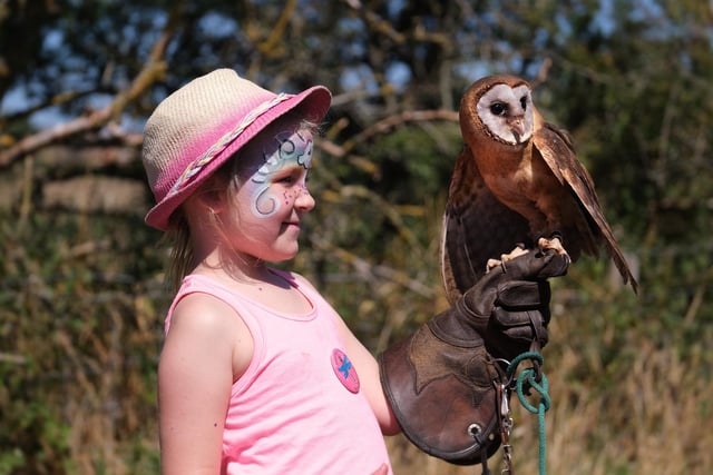 Evellyn Dalby with an Ashy Faced Owl