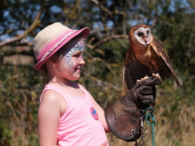 Evellyn Dalby with an Ashy Faced Owl