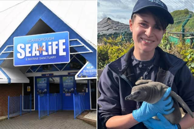 Joe Adams is studying at Applied Zoology Harper Adams University and contacted SEALIFE Scarborough with hopes of completing his placement year there. Photo credit: Richard Ponter/ Harper Adams University