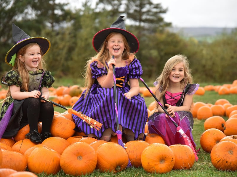 Sledmere House has two spooky events this Halloween. Spooky Barn: Halloween Adventure will be open from October 26 until October 31. Come and enjoy a fun and family-friendly Halloween walk-through experience, with performers from Rusticus Theatre Company, magical animal encounters and activities! Don’t forget to follow the trail down to the Walled Garden to take part in the petrifying pumpkin hunt. On October 26 there will be the Musical Fireworks Spectacular which will include some fantastic musical numbers to accompany the most amazing big bangs and mesmerising colours lighting up the sky above Sledmere House and Gardens!