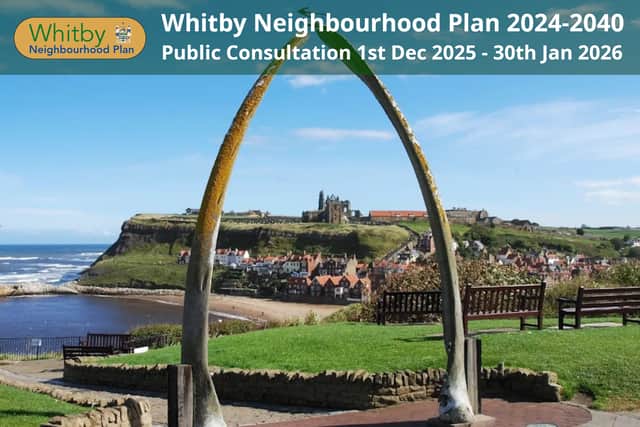You can have your say on the neighbourhood plan proposals until January 30.
