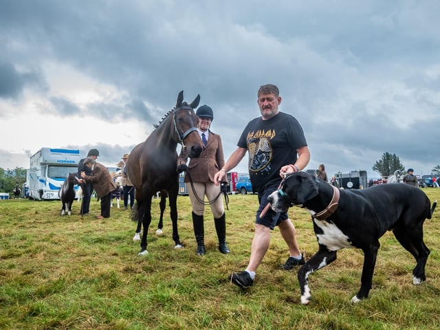 Bethany Hyde, of Stokesley holds her horse Beau, as Mark Yeoman, landlord of the Brown Cow in Hinderwell, walks Hector, his three year old Great Dane around the show field.